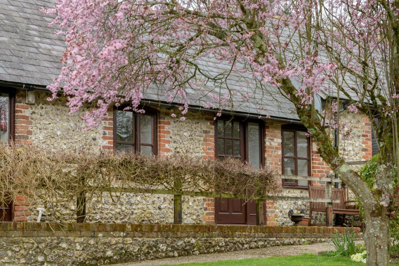 Luccombe Farm Holiday Cottages Milton Abbas Exterior photo